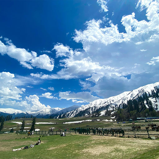 Srinagar – Sonamarg – Srinagar